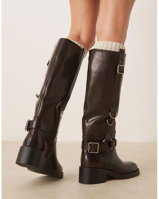 Cobra - bottes hauteur genou avec harnais et boucles avec détails métalliques argentés - bordeaux ASOS en coloris Black