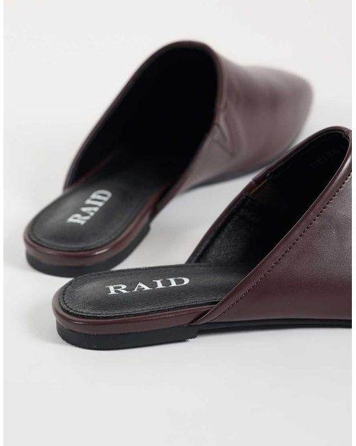 Delta di Raid in Brown