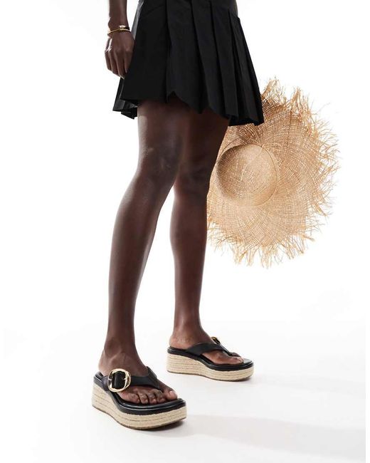 Toucan di ASOS in Black
