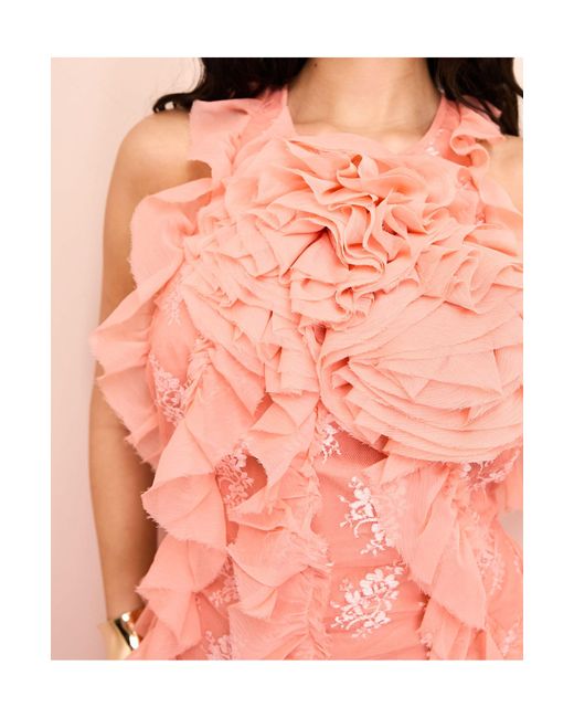 ASOS Pink Lace Ruffle Chiffon Halter Maxi Dress With Corsage Detail