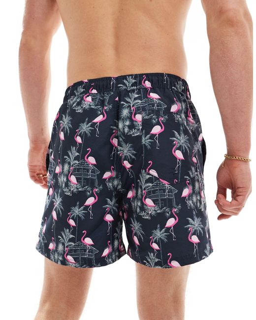 Jack & Jones Blue Swim Shorts With Flamingo Print for men