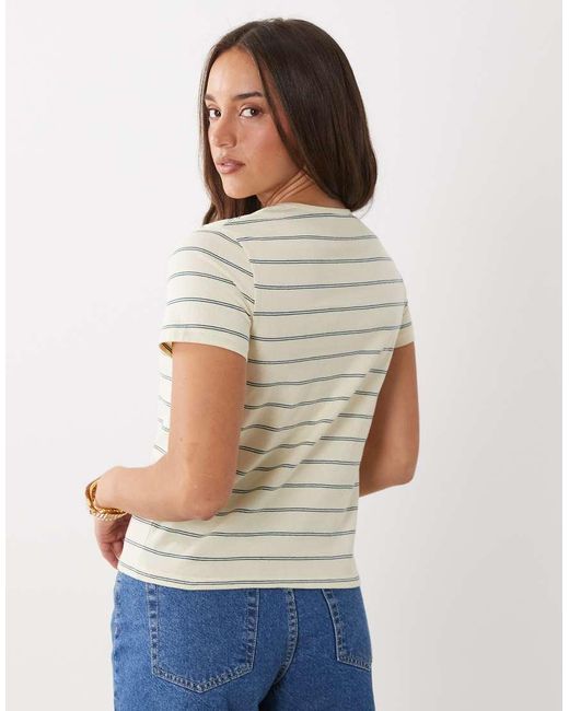 Mango Blue 100% Cotton T-Shirt