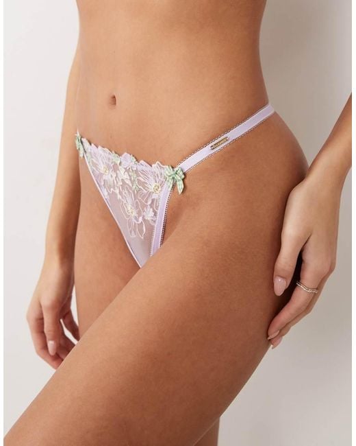 Boux Avenue Purple Posey Floral Embroidered Thong
