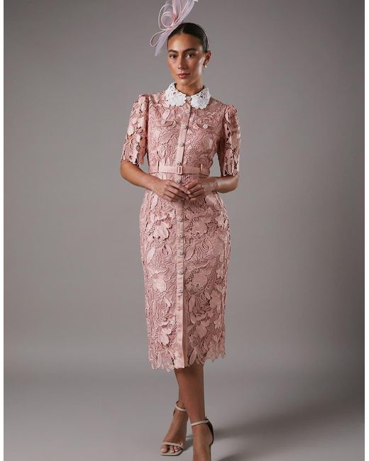Coast Gray Lace Shirt Dress Contrast Colour