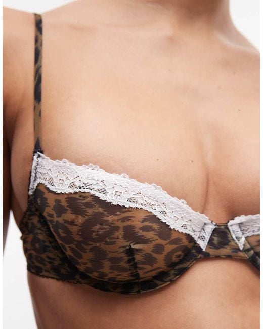 ASOS Natural Savannah Sheer Mesh Leopard Print Underwire Bra With Cream Lace Trim