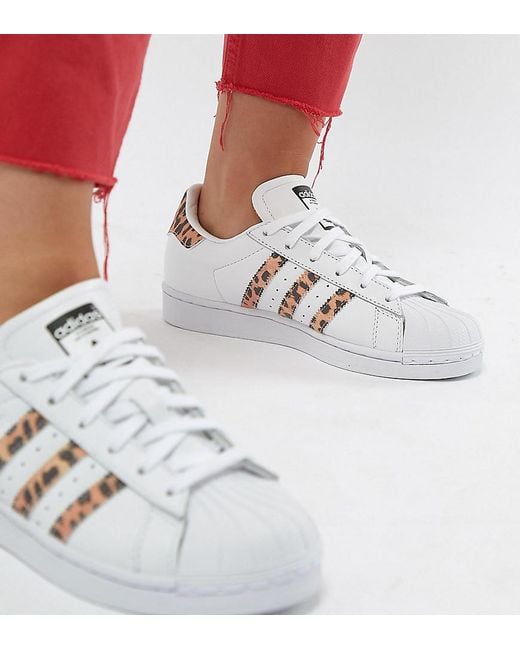 adidas Originals Superstar Sneakers With Leopard Print Trim in Black | Lyst  Australia