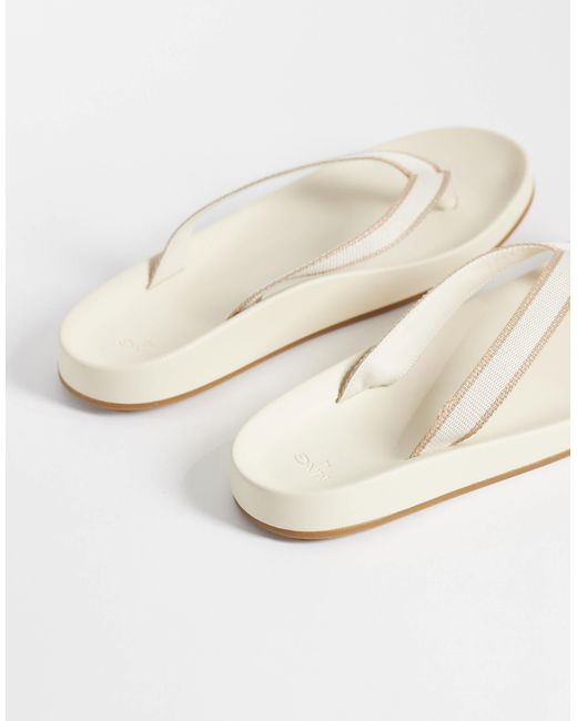 Tongs Mango pour homme en coloris Natural