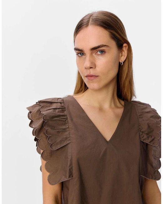 Object Top in het Brown