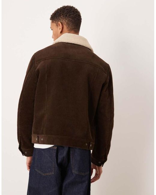 Mango Brown 100% Cotton Cord Jacket With Borg Collar for men