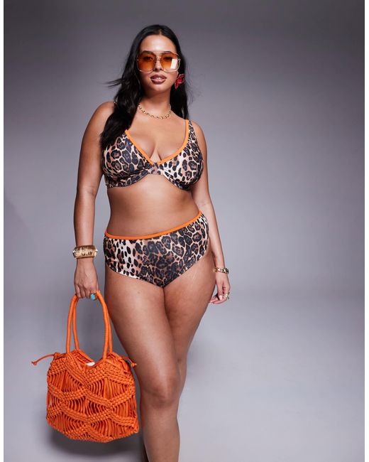 ASOS Multicolor Asos Design Curve Leo Contrast Binding Underwired Bikini Top