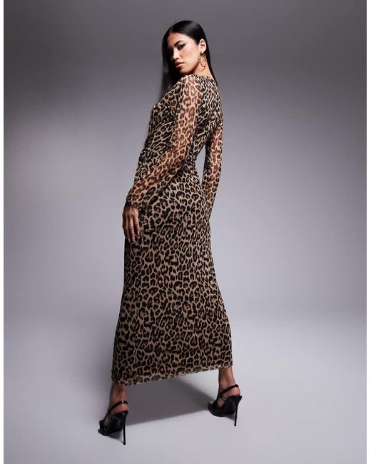 Never Fully Dressed Halflange Jurk Van Mesh Met Gestrikte Voorkant En Luipaardprint in het Brown
