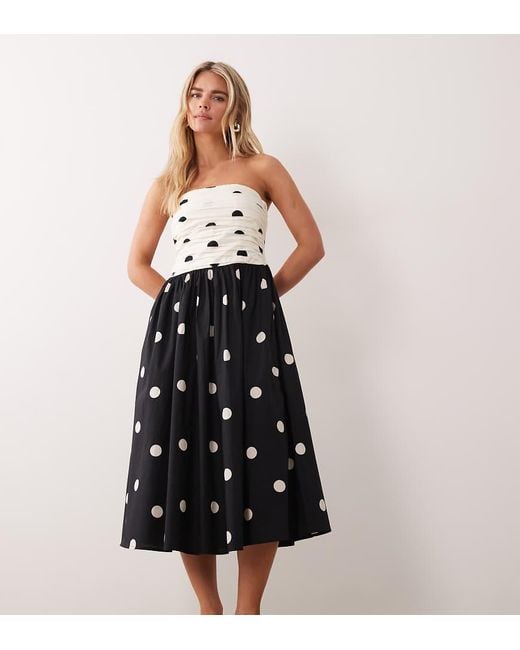Nobody's Child Petite Black Felicity Cotton Bandeau Midi Dress