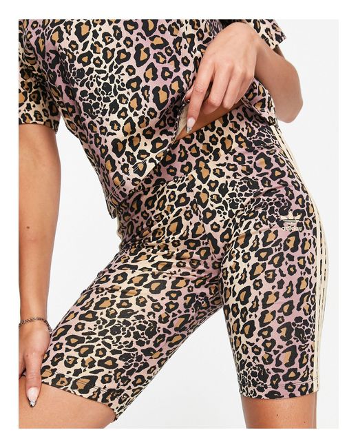 adidas Originals All Over Leopard Print legging Shorts in Black Lyst