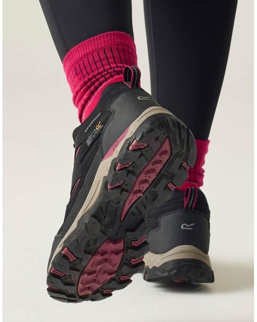 Regatta Black Holcombe Iii Low Waterproof Walking Shoes