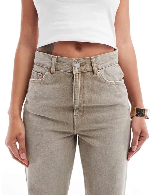 Dr. Denim Brown Echo Straight Leg Jeans