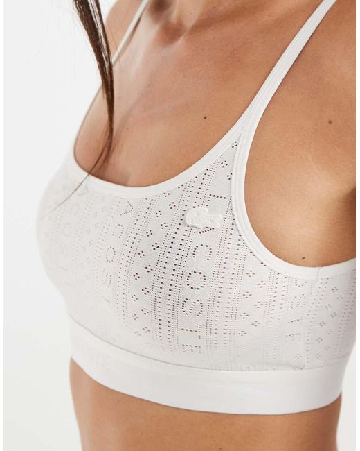 Lacoste Brown Pointelle Bralette