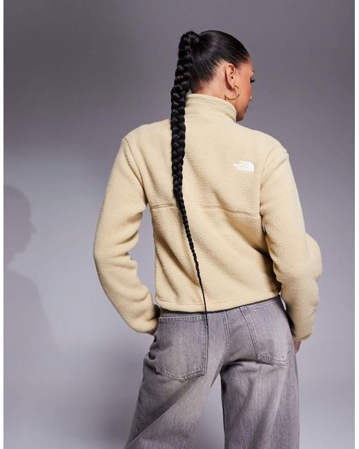 The North Face Natural Yumiori Quarter Zip Fleece