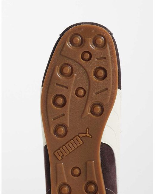 Tackle di PUMA in Brown