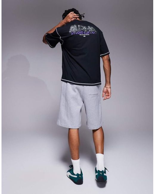 Alpha Industries T-Shirt Met Bolle Logoprint Op De Achterkant in het Blue voor heren