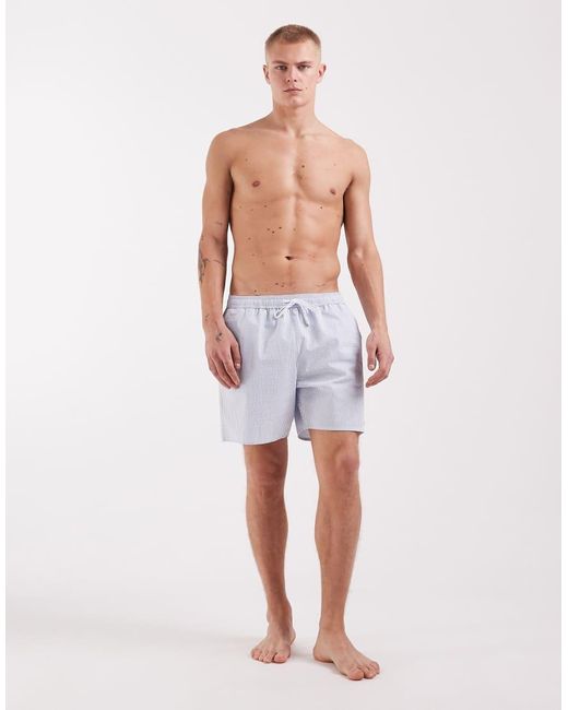 Lacoste Blue Classic Logo Stripe Swim Shorts for men