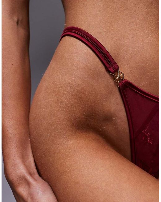 ASOS Brown Birdie Lace & Mesh Tanga Thong With Satin Binding And Hardware Details