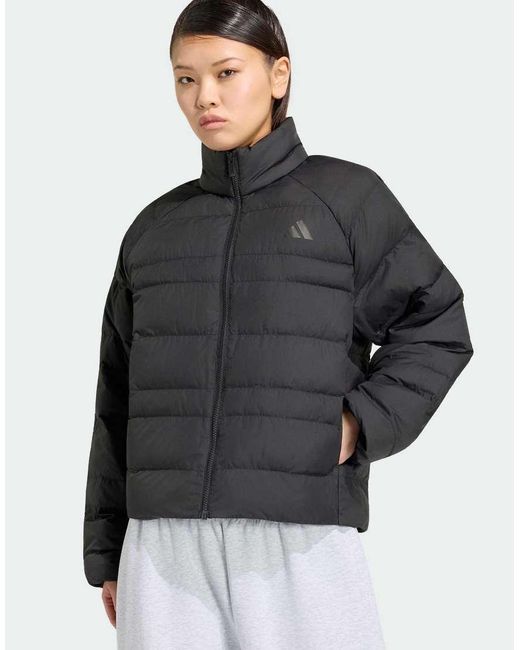 Adidas Originals Gray Essentials Packable Insulated Jacket