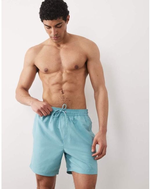 Threadbare Blue Swim Shorts With Flamingo Graphic for men