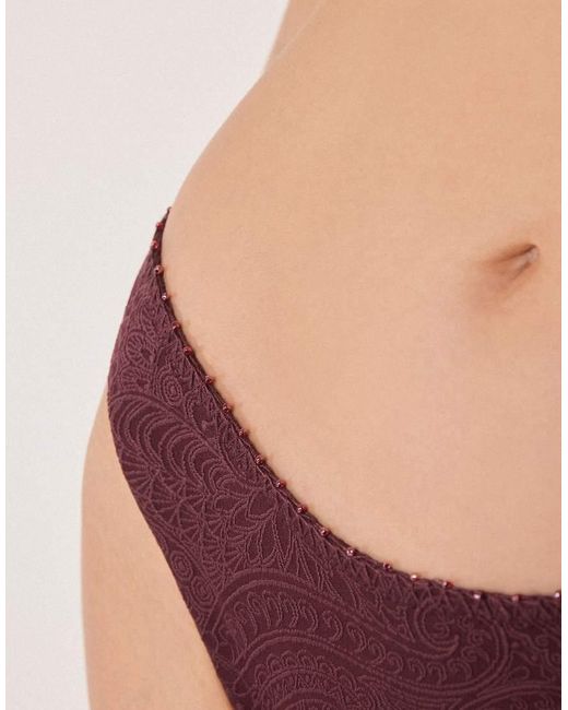 Calzedonia Red Precious Jacquard