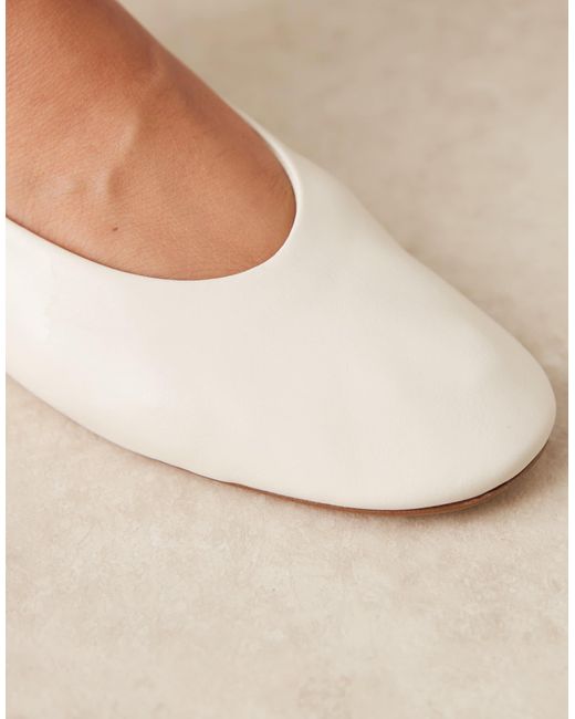 Mango Blue Suede Flat Shoe