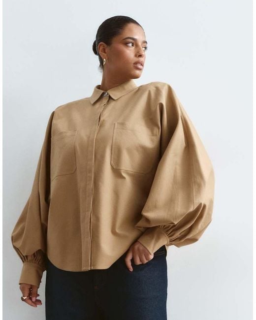 ARRANGE Brown Curve Premium Structured Balloon Sleeve Shirt