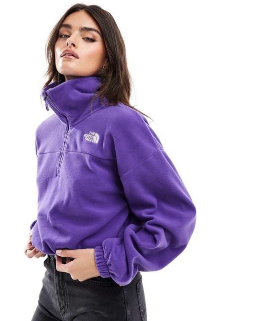 The North Face Purple Glacier Half-Zip Oversized Fleece