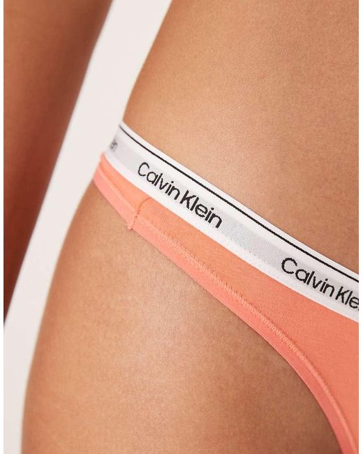 Calvin Klein Icon in het White