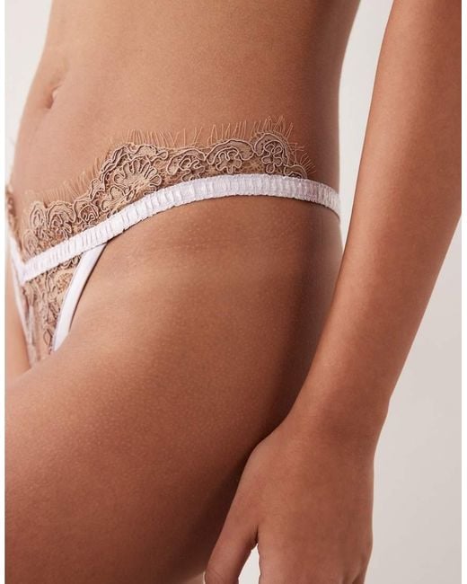 For Love & Lemons Brown Holly Lace Detail Thong Co-Ord