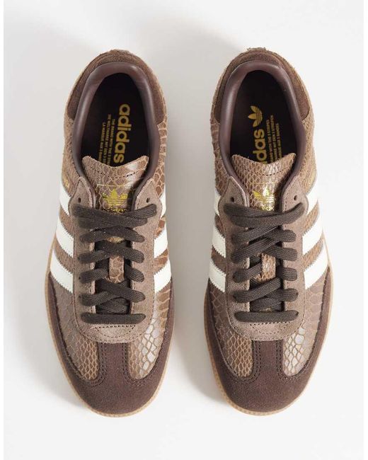 Adidas Originals Brown Samba Og Trainers for men