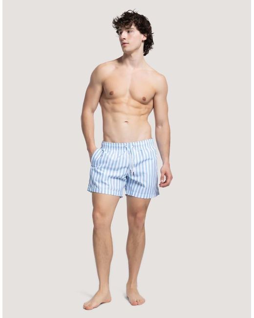 Apreslife Blue Stripe Swim Shorts for men