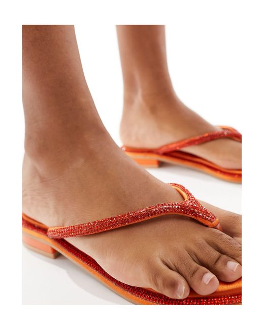 SIMMI Orange Simmi london – havanah – verzierte flache sandalen