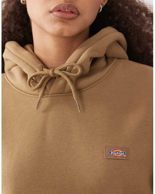 Dickies Brown Oakport Hoodie