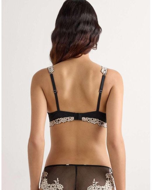 Intimissimi Black Pretty Flowers Sofia Balconette Bra