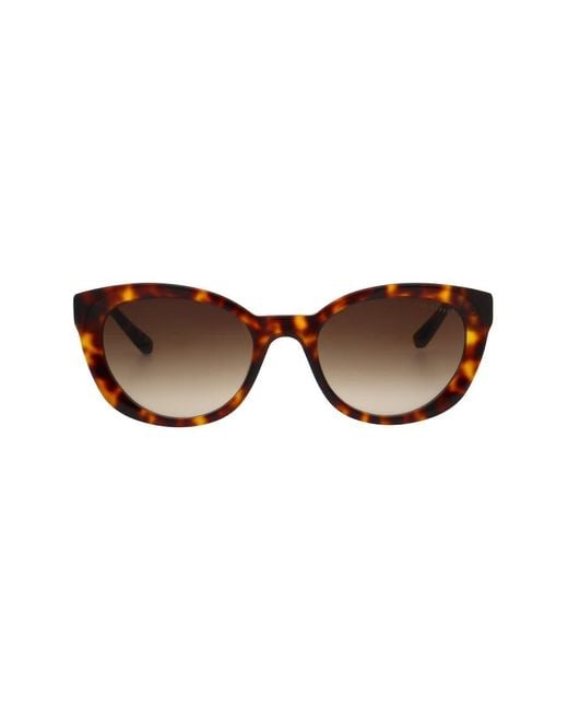 Ted Baker Brown Daliah Sunglasses