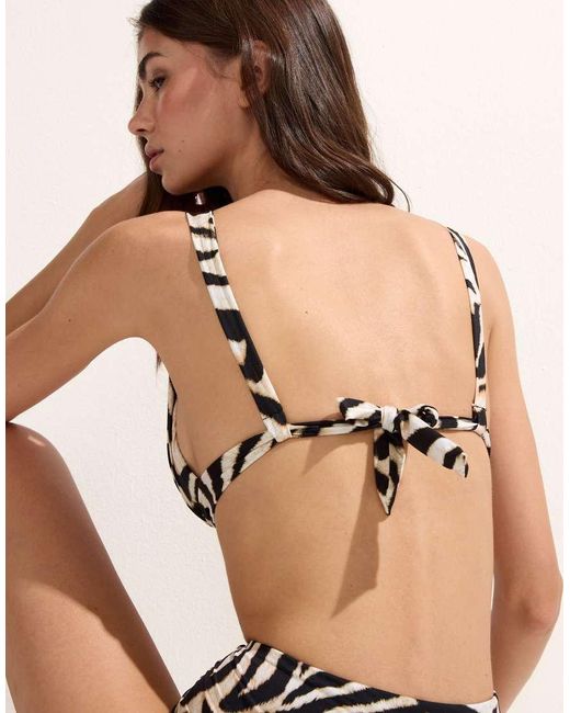 Calzedonia Black Savannah Zebra