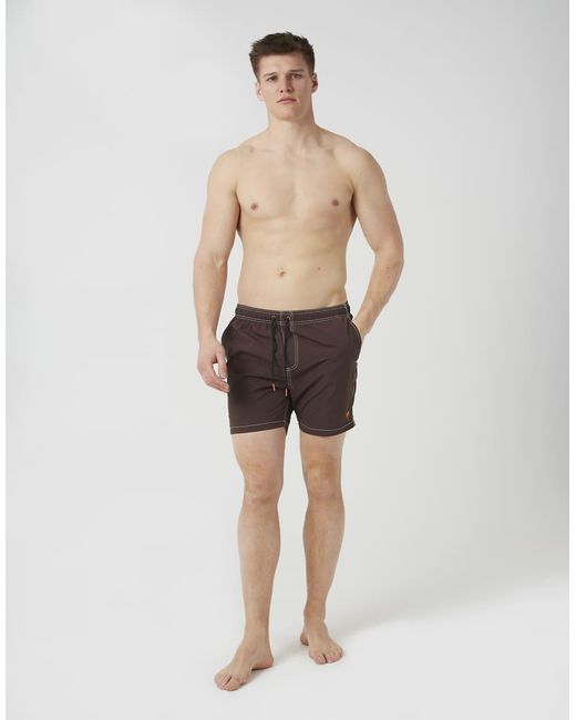 Brave Soul Brown Contrast Stitch Swim Shorts for men