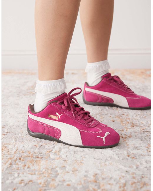 Speedcat wine club - baskets PUMA en coloris Pink