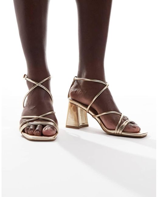 Dandelion di SEQWL in Brown