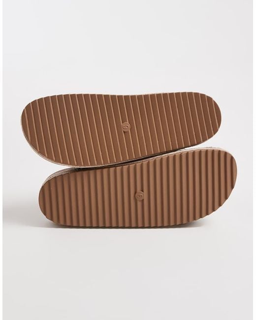 South Beach Brown Double Buckle Sandals