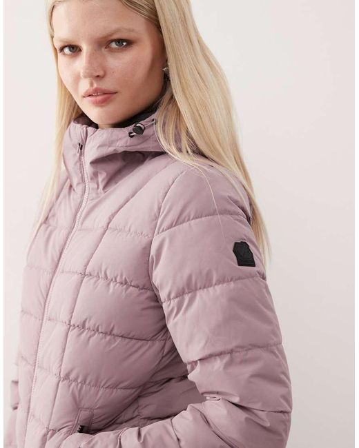 Dare 2b Purple Wander Waterproof Jacket