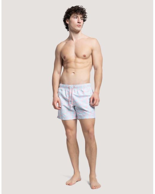 Apreslife White Urchin Swim Shorts for men