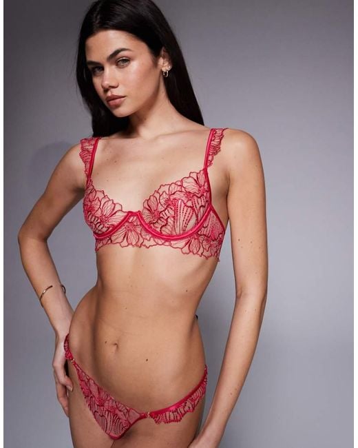 Bluebella Amarosa Floral Embroidered Ouvert Brief
