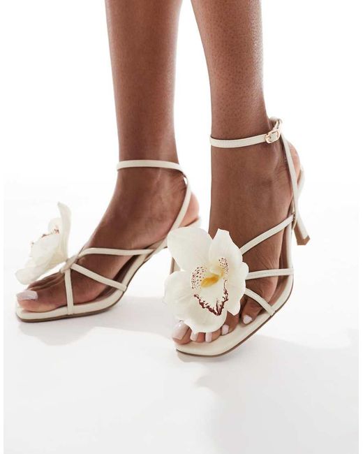 New Look Brown Orchid Trim Heeled Sandal