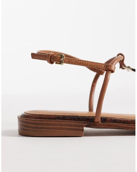 ALDO Brown Ebaeryn Flat Sandal