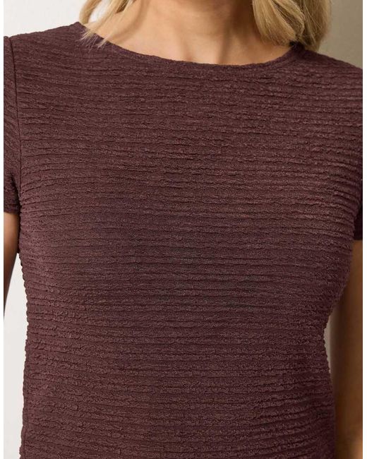 Long Tall Sally Brown Textured Slash Neck Top